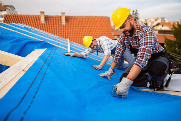 Best Roof Moss and Algae Removal  in Pantops, VA